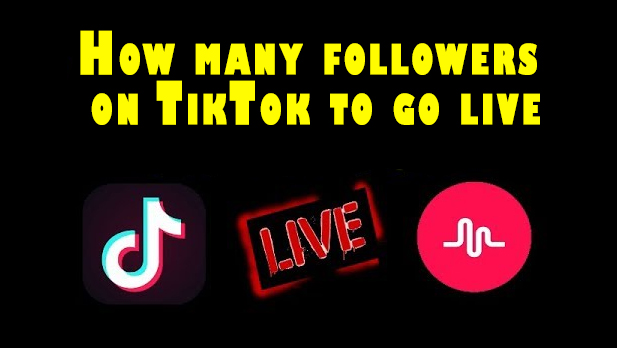 How many followers on TikTok to go live - Vip TT