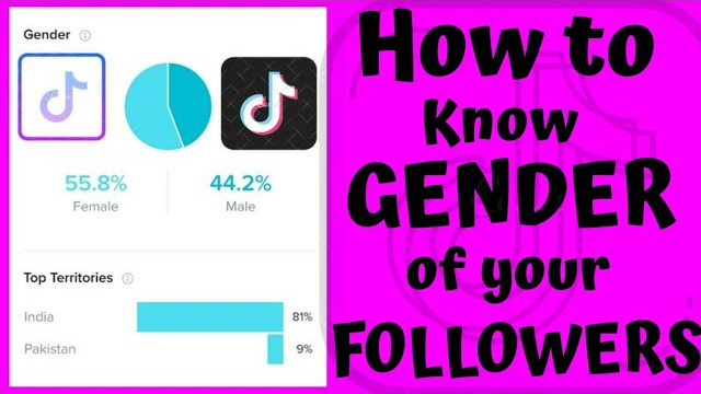 How to see your followers gender on TikTok - Vip TT