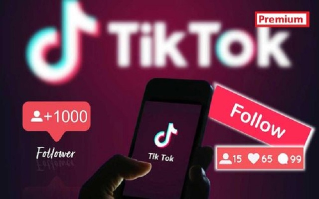 Premium Tiktok followers - Vip TT